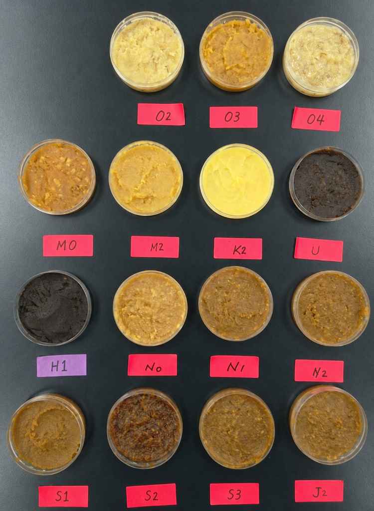 Miso samples prepared for university research
